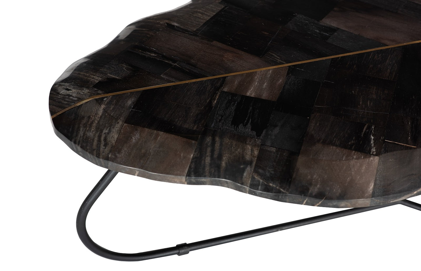 Mosaic Leaf Petrified Wood Coffee Table, Large