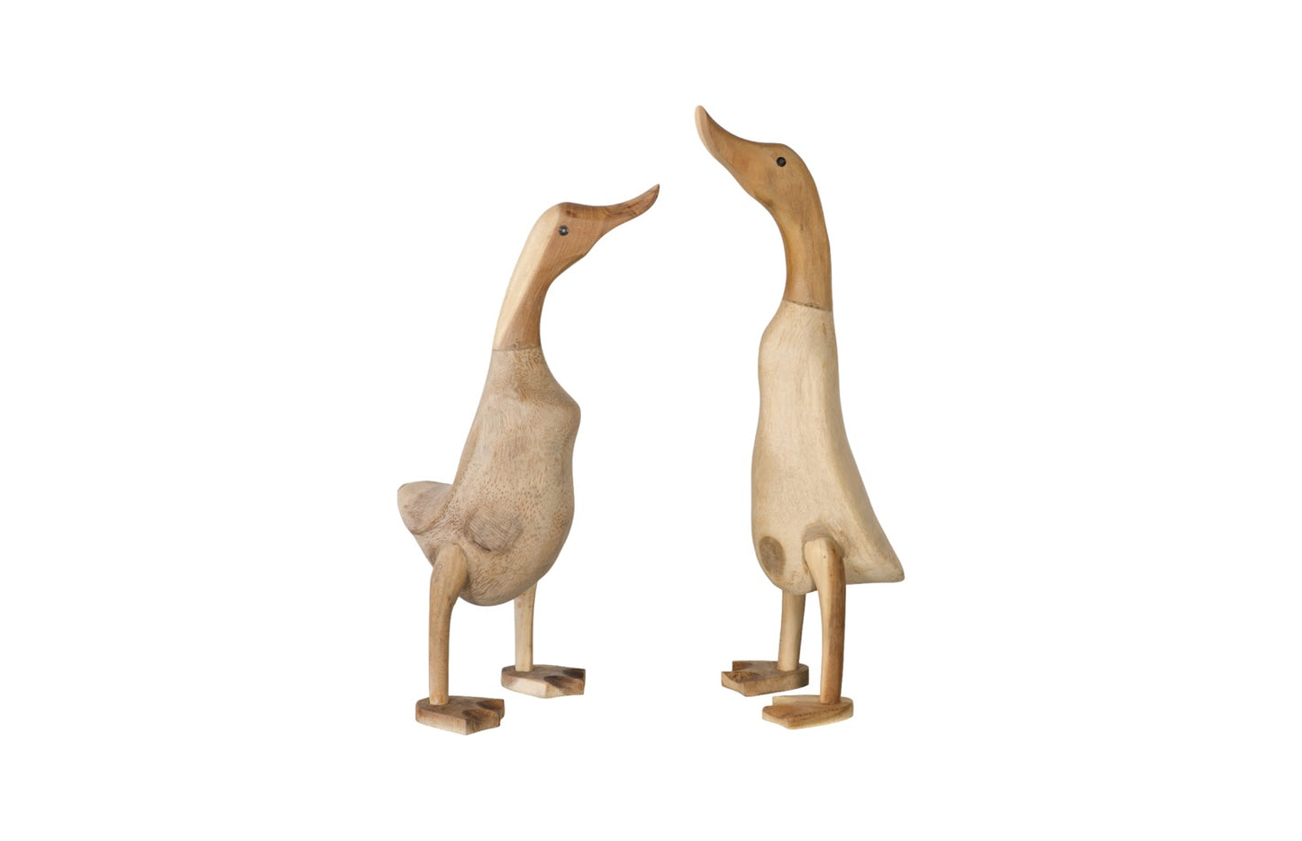 Wood Duck, Set of 2