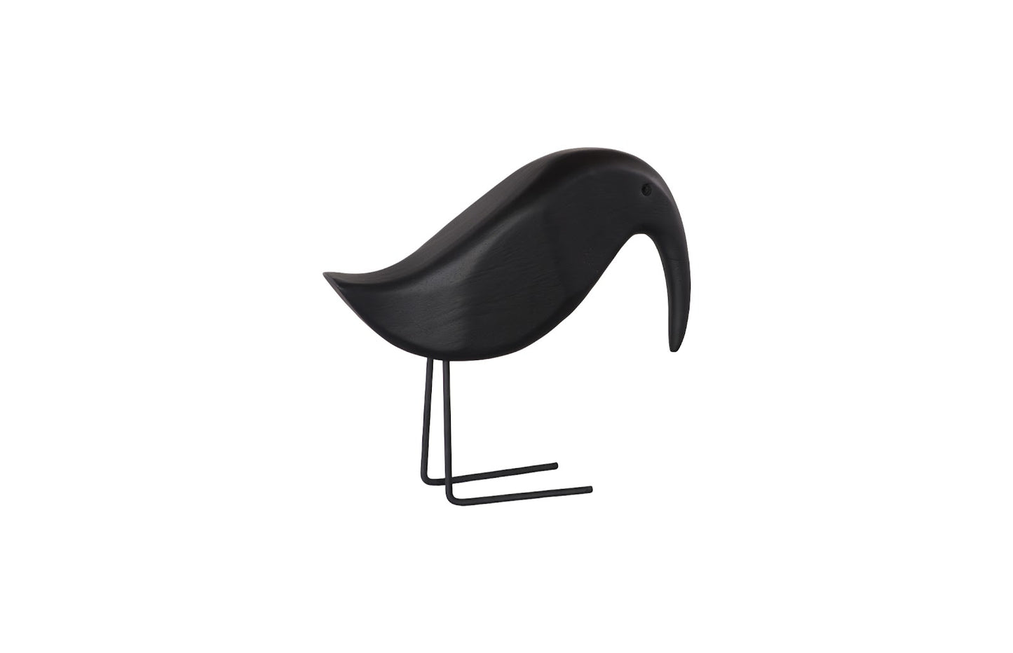 Black Bird
