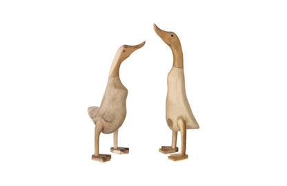 Wood Duck, Set of 2