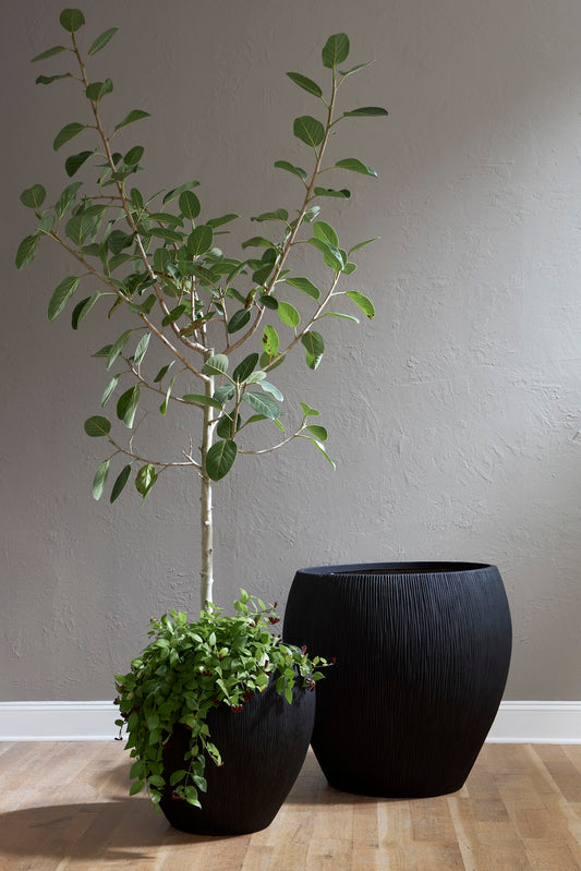 Filament Planter, Black, SM