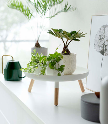 Countertop Pedestal Tray (5" H)  - Steel + Wood