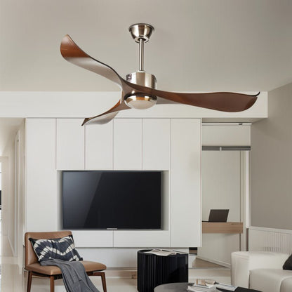 Caelus Ceiling Fan