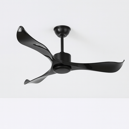 Caelus Ceiling Fan