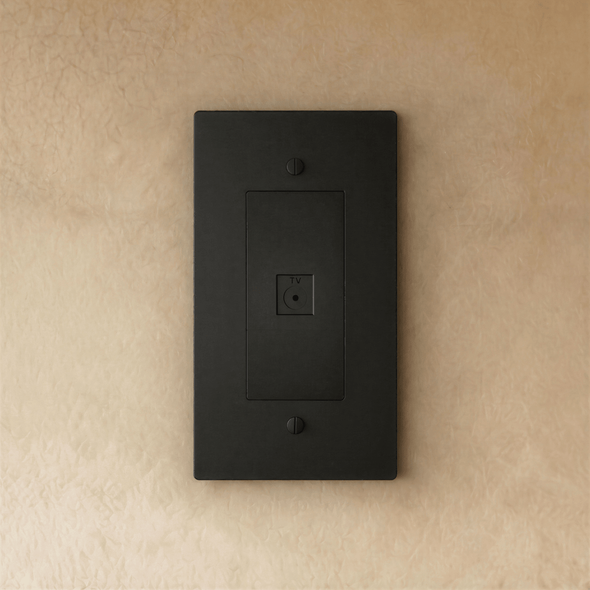 The Brass TV Socket (1-Gang)