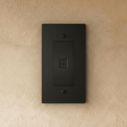 The Brass TV Socket (1-Gang)