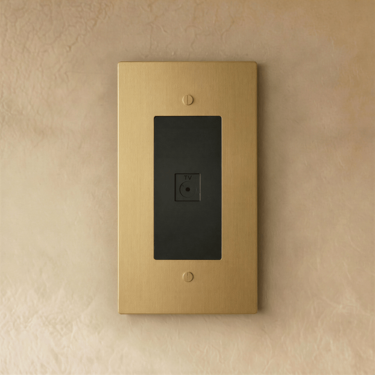 The Brass TV Socket (1-Gang)