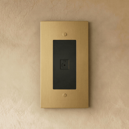 The Brass TV Socket (1-Gang)