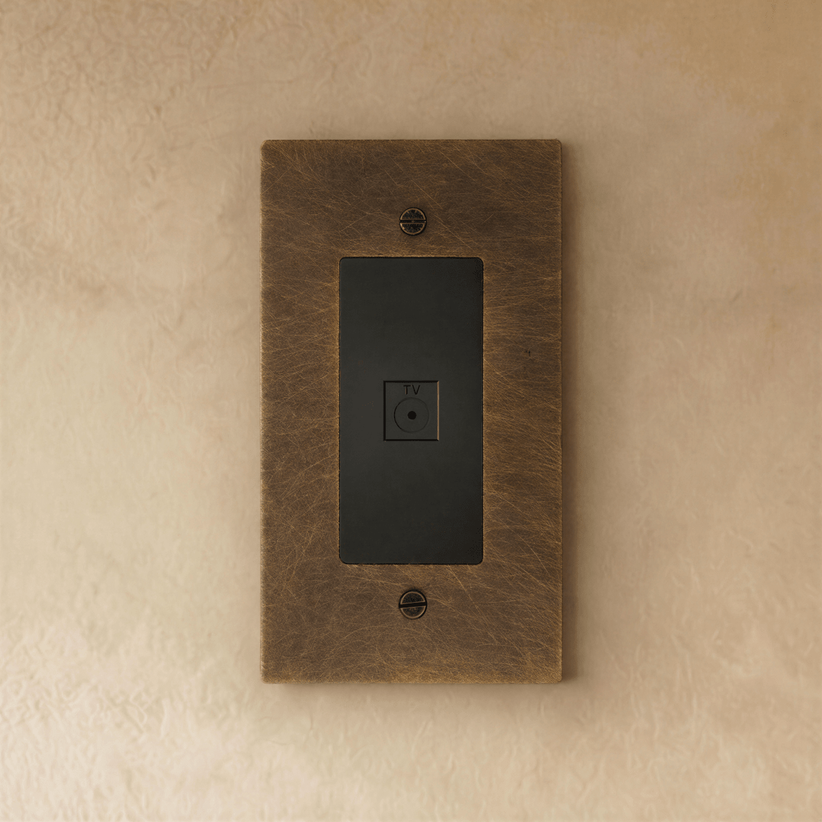 The Brass TV Socket (1-Gang)