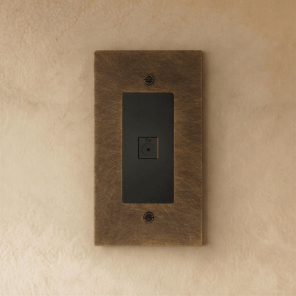 The Brass TV Socket (1-Gang)