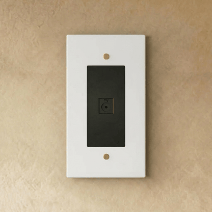 The Brass TV Socket (1-Gang)