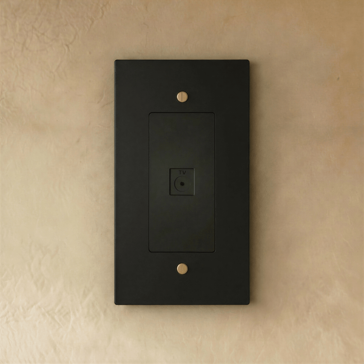 The Brass TV Socket (1-Gang)