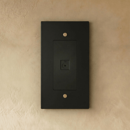 The Brass TV Socket (1-Gang)