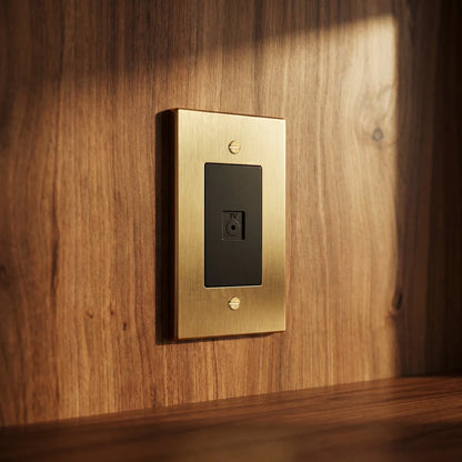 The Brass TV Socket (1-Gang)
